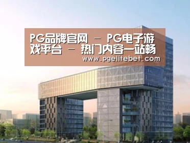 案例展示四