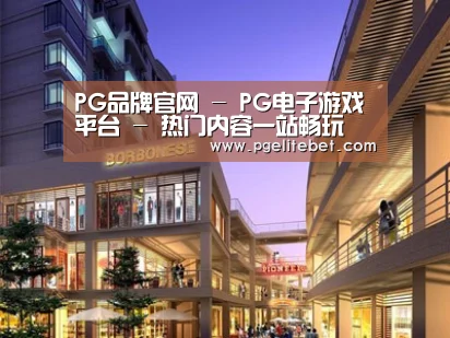 案例展示一