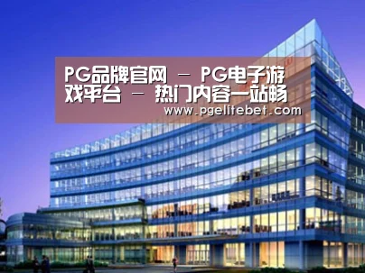 案例展示五