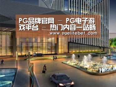 案例展示二
