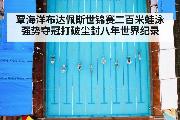 覃海洋布达佩斯世锦赛二百米蛙泳强势夺冠打破尘封八年世界纪录