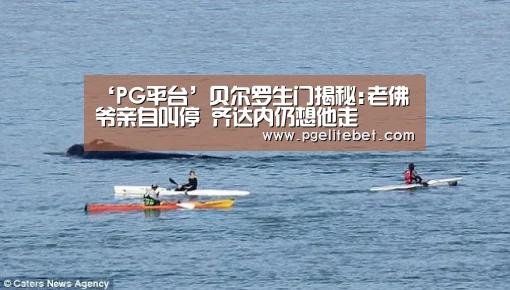 ‘PG平台’贝尔罗生门揭秘:老佛爷亲自叫停 齐达内仍想他走(图3) PG游戏